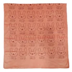 حوله استخری نانو طرح خرگوش رنگ گلبهی