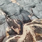 سرویس روتختی دو نفره سه‌بعدی 6 تکه - Image 6